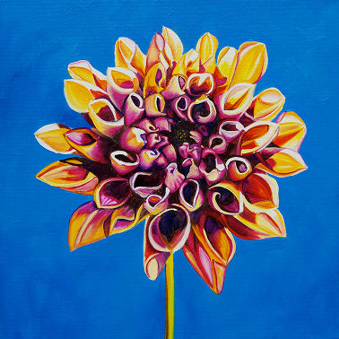 "Dahlia #2" Large Matted Print