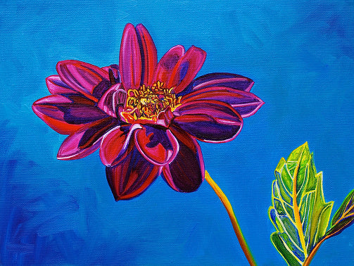 "Dahlia #3" Large Matted Print