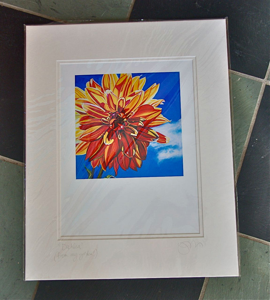 "Dahlia (from my garden)" Large Matted Print