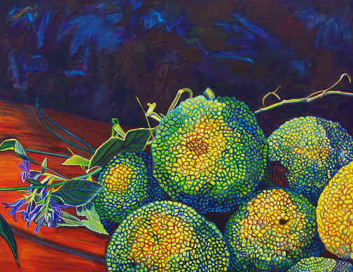 "Hedge Apples" Large Matted Print