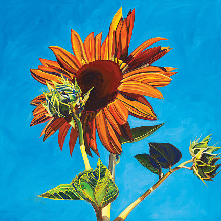 "Sunflower #5" Large Matted Print